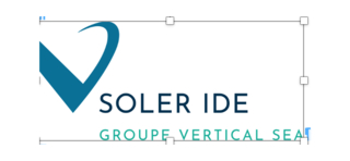 SOLER IDE est le Bureau dEtudes en Environnement, du groupe VERTICAL SEA,  spcialis dans l'assistance  Maitrise d'Ouvrage pour la gestion des sites et sols pollus, les tudes hydrogologiques, les tudes d'impact.