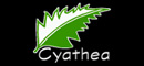 Cyathea