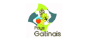 Syndicat Mixte du Pays G�tinais