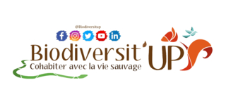 Biodiversit'up