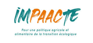 IMPAACTE