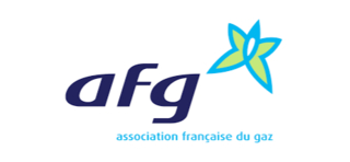 Offre d'emploi Directeur de la communication H/F de Association Française du Gaz
