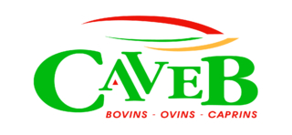 CAVEB