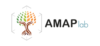 UMR AMAP