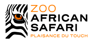 African Safari