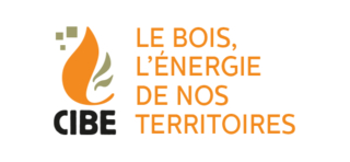 Responsable de projets EnR biomasse pour le CIBE H/F