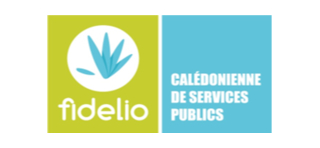CALEDONIENNE DE SERVICES PUBLICS