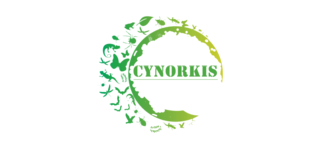 CYNORKIS