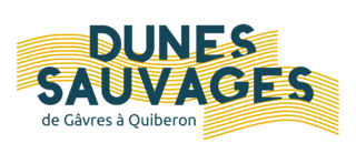 Syndicat Mixte des dunes sauvages de Gavres � Quiberon