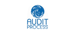 AUDIT PROCESS SUD OUEST