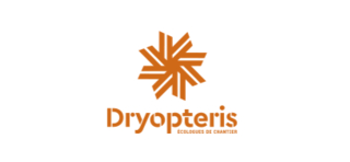 DRYOPTERIS