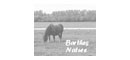 Barthes Nature