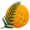 Logo Actu-Environnement
